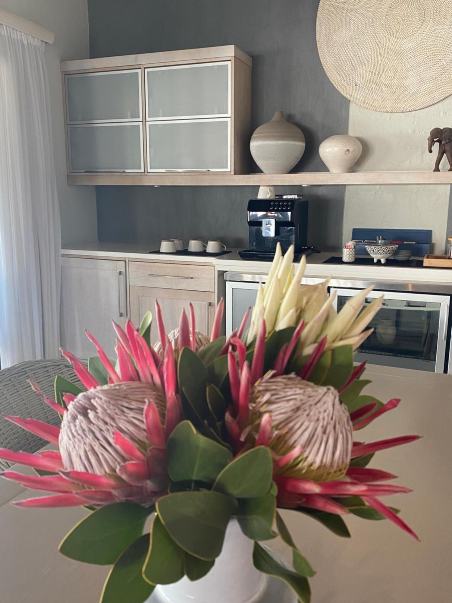 Canal Guest House - Waterfront Boutique Bed & Breakfast - Solar Power St Francis Bay Eksteriør bilde